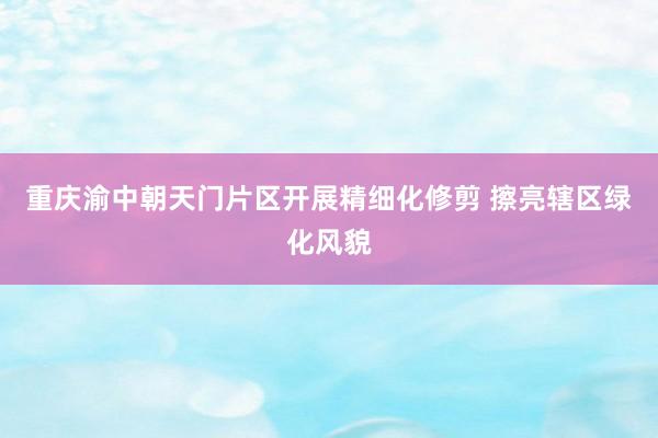 重庆渝中朝天门片区开展精细化修剪 擦亮辖区绿化风貌