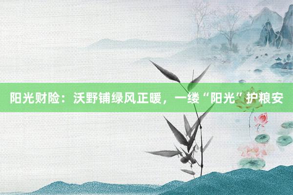 阳光财险：沃野铺绿风正暖，一缕“阳光”护粮安