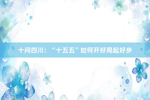 十问四川：“十五五”如何开好局起好步