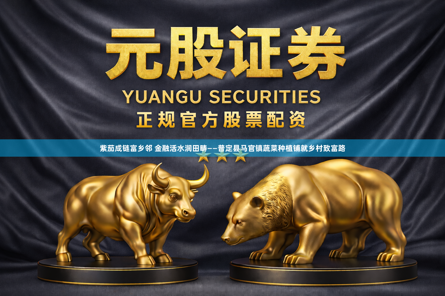 紫茄成链富乡邻 金融活水润田畴——普定县马官镇蔬菜种植铺就乡村致富路