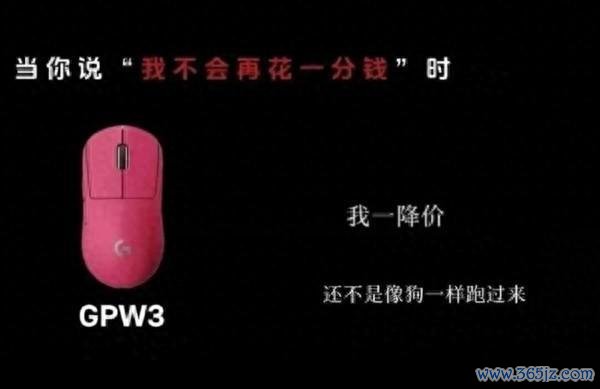 罗技中国区营收喜人 曾侮辱顾客是狗