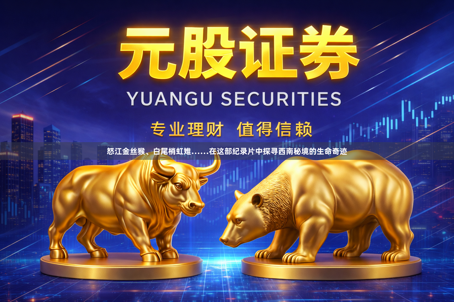 怒江金丝猴、白尾梢虹雉……在这部纪录片中探寻西南秘境的生命奇迹