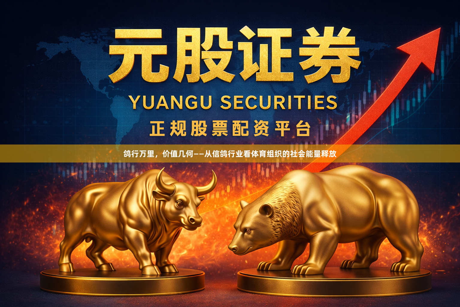 鸽行万里，价值几何——从信鸽行业看体育组织的社会能量释放