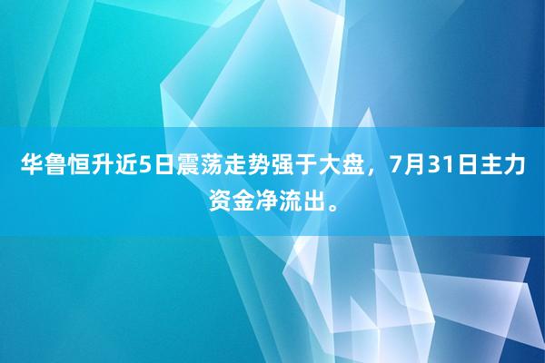 华鲁恒升近5日震荡走势强于大盘，7月31日主力资金净流出。