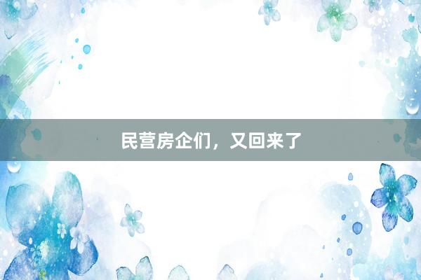 民营房企们，又回来了