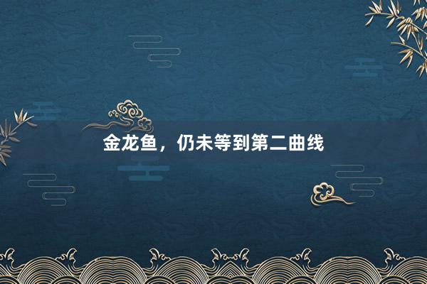 金龙鱼，仍未等到第二曲线