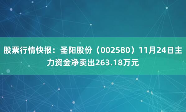 股票行情快报：圣阳股份（002580）11月24日主力资金净卖出263.18万元