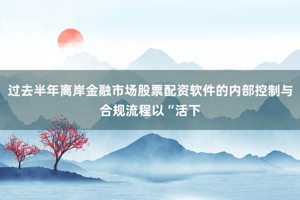 过去半年离岸金融市场股票配资软件的内部控制与合规流程以“活下