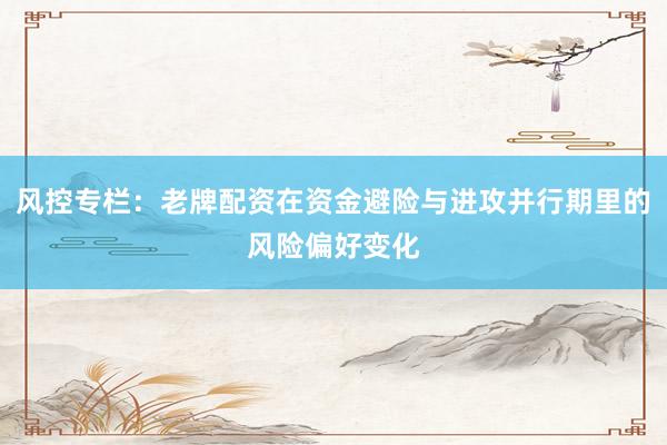 风控专栏：老牌配资在资金避险与进攻并行期里的风险偏好变化