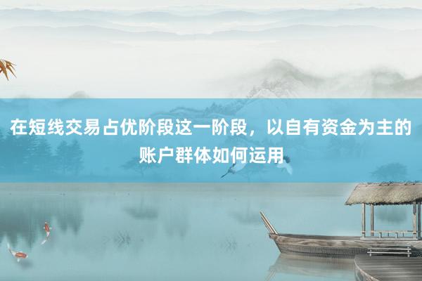 在短线交易占优阶段这一阶段，以自有资金为主的账户群体如何运用