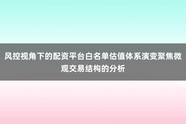 风控视角下的配资平台白名单估值体系演变聚焦微观交易结构的分析