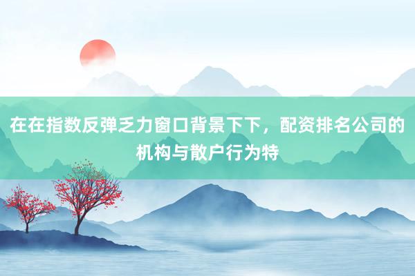 在在指数反弹乏力窗口背景下下，配资排名公司的机构与散户行为特