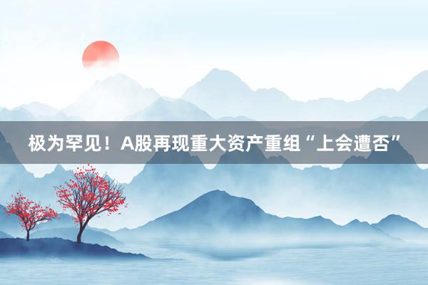 极为罕见！A股再现重大资产重组“上会遭否”
