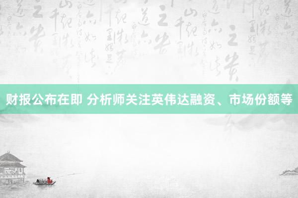 财报公布在即 分析师关注英伟达融资、市场份额等