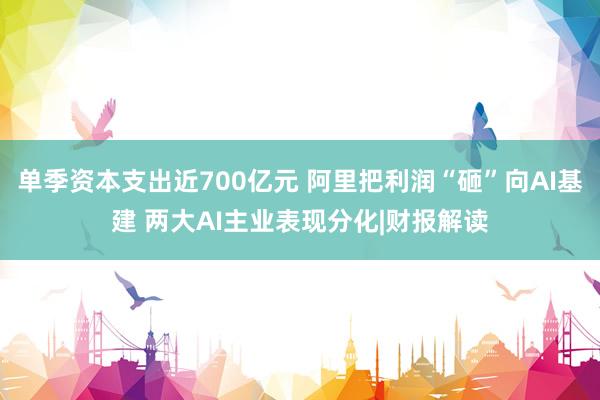单季资本支出近700亿元 阿里把利润“砸”向AI基建 两大AI主业表现分化|财报解读