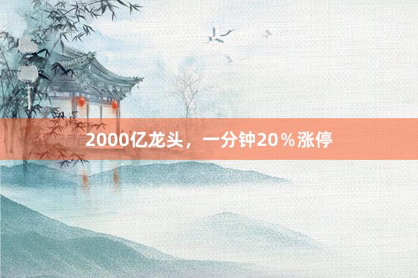 2000亿龙头，一分钟20％涨停