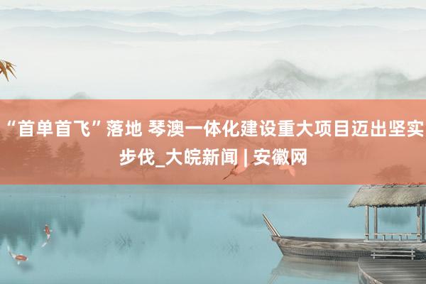 “首单首飞”落地 琴澳一体化建设重大项目迈出坚实步伐_大皖新闻 | 安徽网