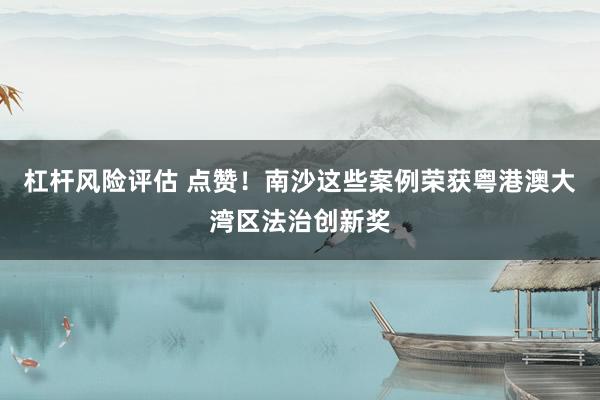 杠杆风险评估 点赞！南沙这些案例荣获粤港澳大湾区法治创新奖
