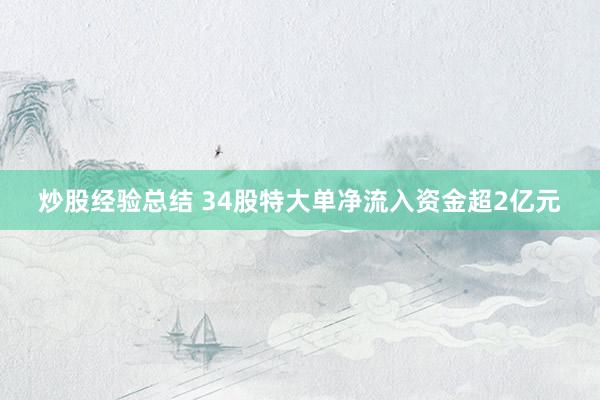 炒股经验总结 34股特大单净流入资金超2亿元