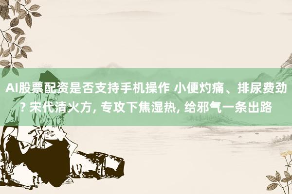 AI股票配资是否支持手机操作 小便灼痛、排尿费劲? 宋代清火方, 专攻下焦湿热, 给邪气一条出路