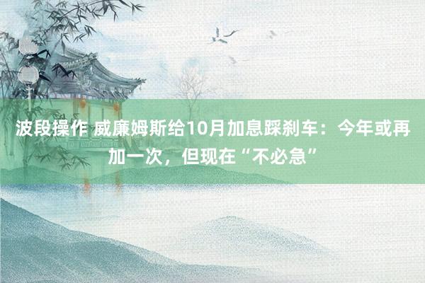 波段操作 威廉姆斯给10月加息踩刹车：今年或再加一次，但现在“不必急”