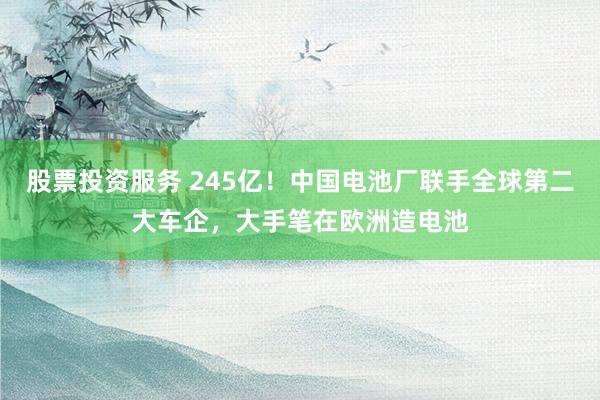股票投资服务 245亿！中国电池厂联手全球第二大车企，大手笔在欧洲造电池