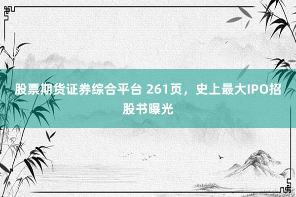 股票期货证券综合平台 261页，史上最大IPO招股书曝光