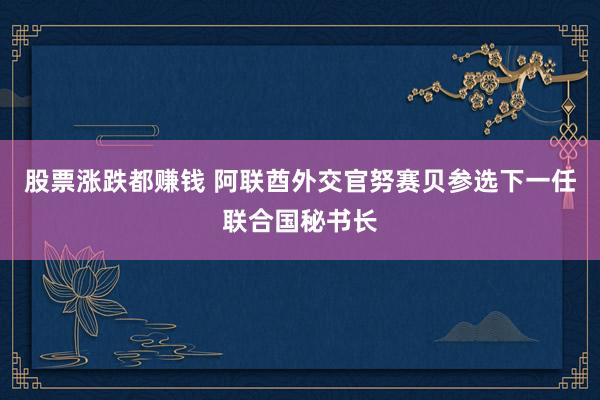 股票涨跌都赚钱 阿联酋外交官努赛贝参选下一任联合国秘书长