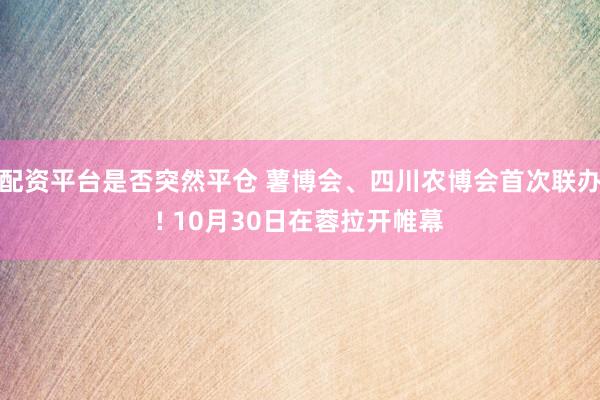 配资平台是否突然平仓 薯博会、四川农博会首次联办! 10月30日在蓉拉开帷幕