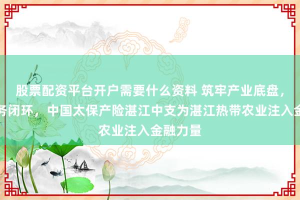股票配资平台开户需要什么资料 筑牢产业底盘，打造服务闭环，中国太保产险湛江中支为湛江热带农业注入金融力量