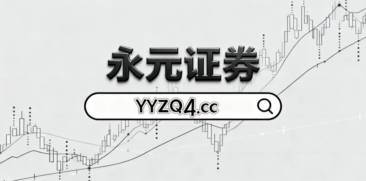 投资者报告：杠杆资金使用使用股票杠杆的账户管理